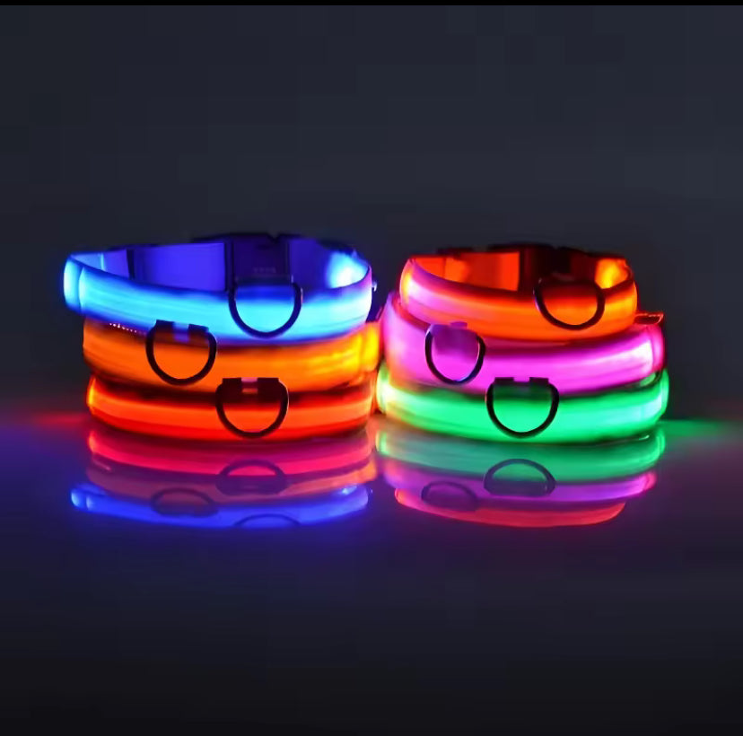 קולר LED זוהר לכלב – 7 צבעים לבחירה | בטיחות בלילה + עיצוב מרהיב