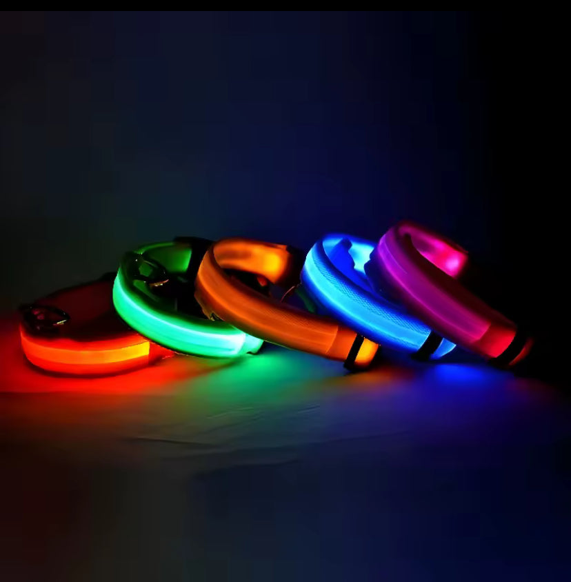 קולר LED זוהר לכלב – 7 צבעים לבחירה | בטיחות בלילה + עיצוב מרהיב